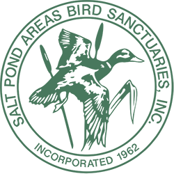 logo-salt-pond-retina